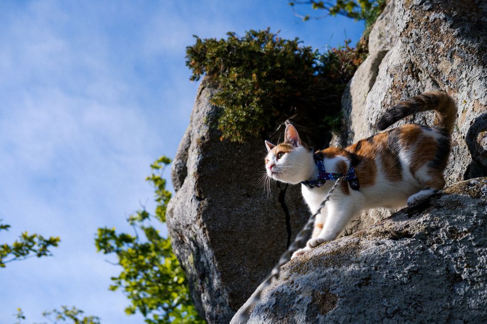 Photograph by Елена Шевченко