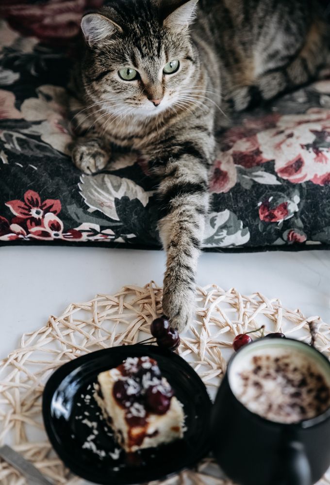 Photograph by Елена Лучшева