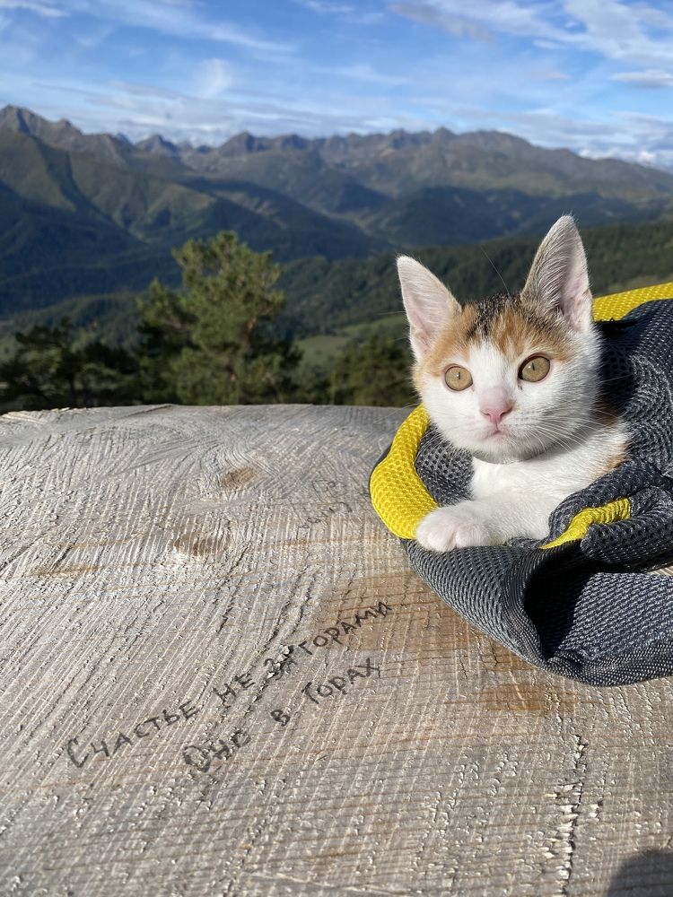 Photograph by Елена Шевченко