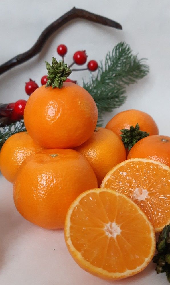 Фотография автора Ирина Лукьянчик