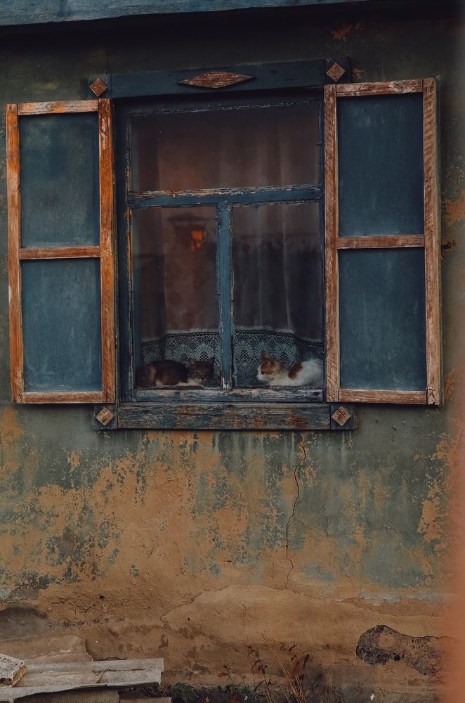 Photograph by Анна Балова