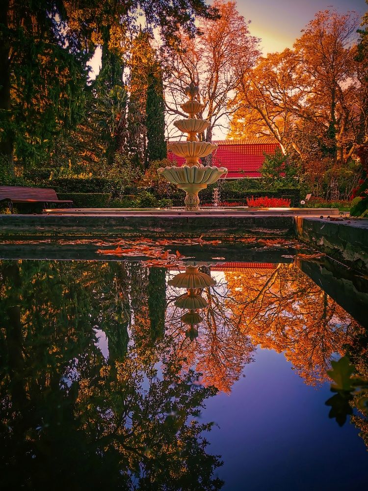 Photograph by Мария Цепилова