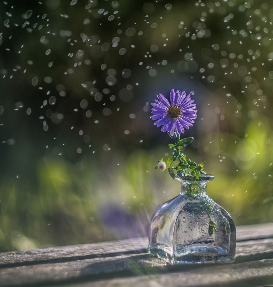 Фотография автора Сигидова Ирина