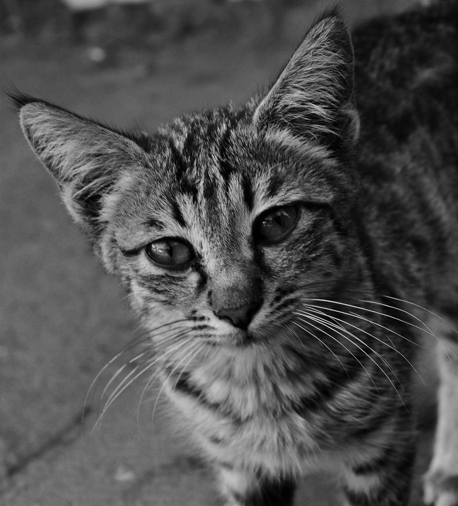 Photograph by Асмик Саргсян