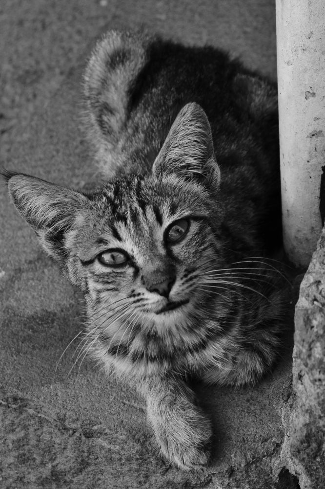 Photograph by Асмик Саргсян