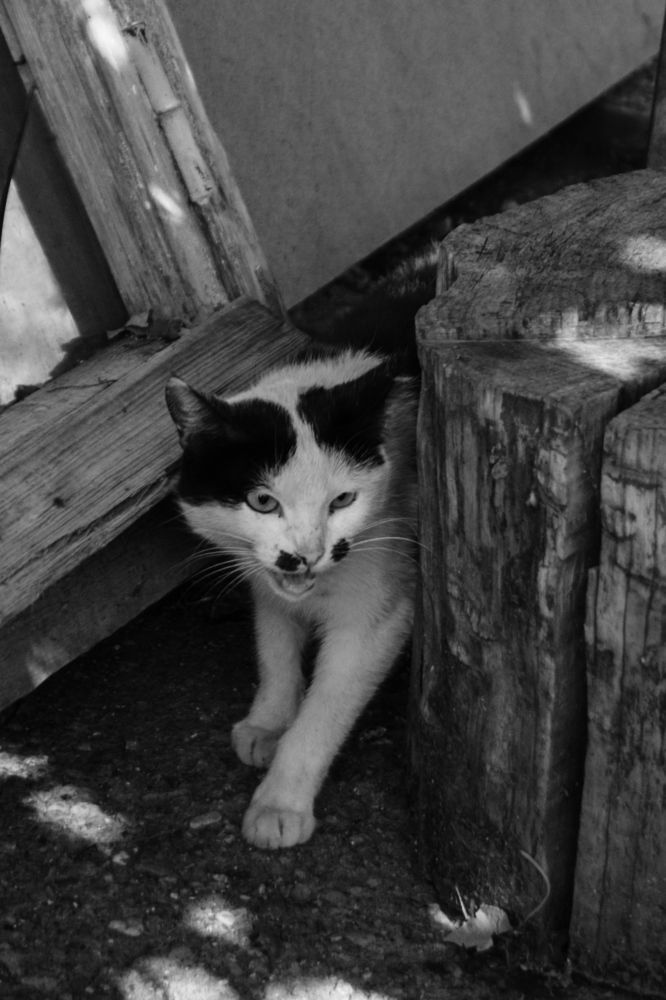 Photograph by Асмик Саргсян