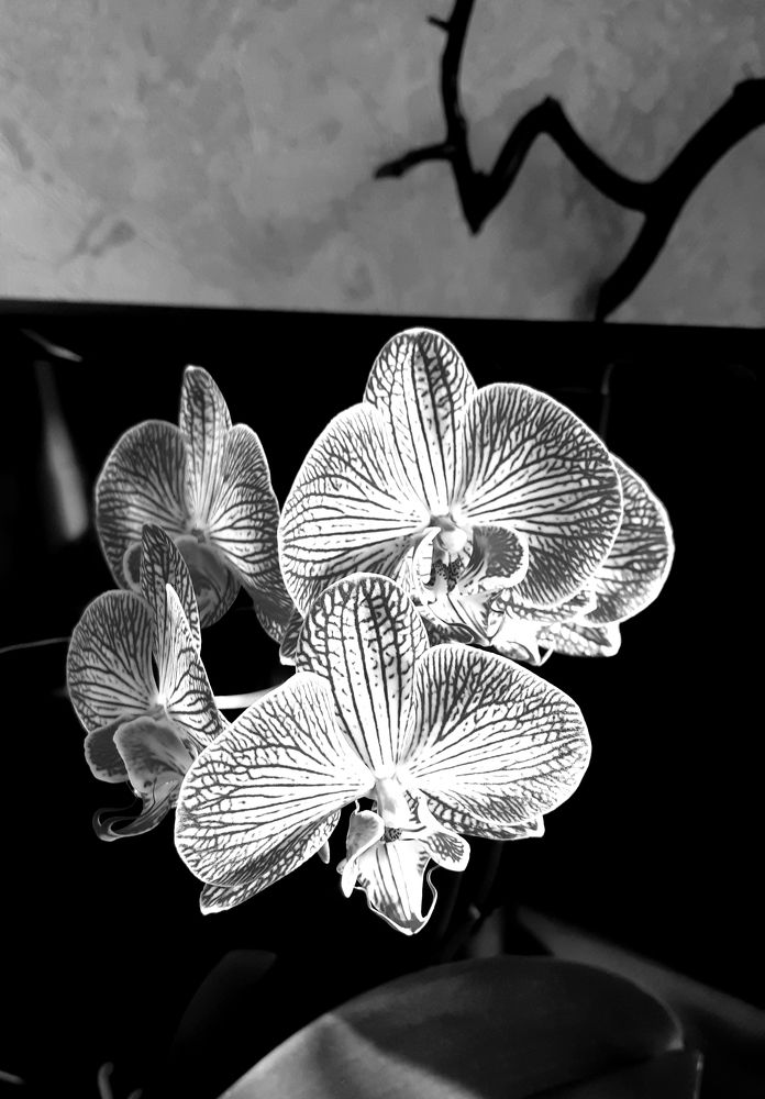 Фотография автора Ирина Лукьянчик