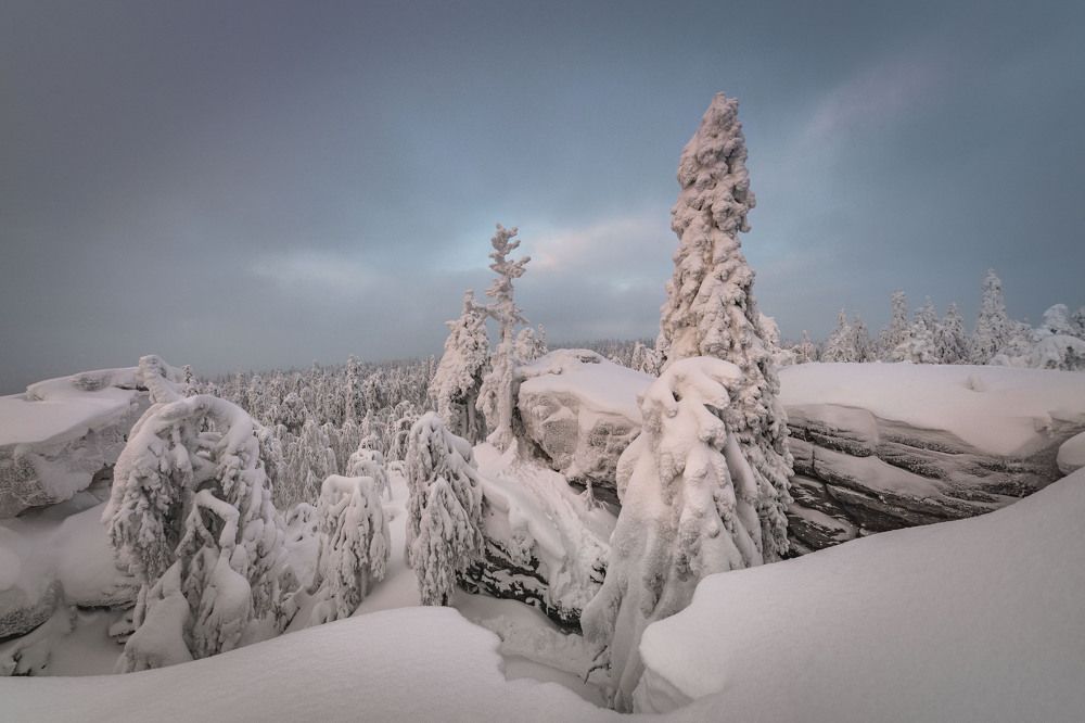 Photograph by Елена Лебедева