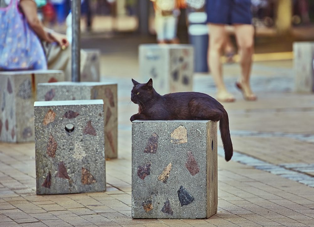 Photograph by Дмитрий