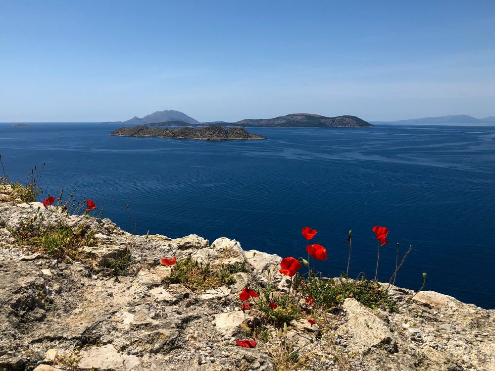 Фотография автора Сергей Ефимов