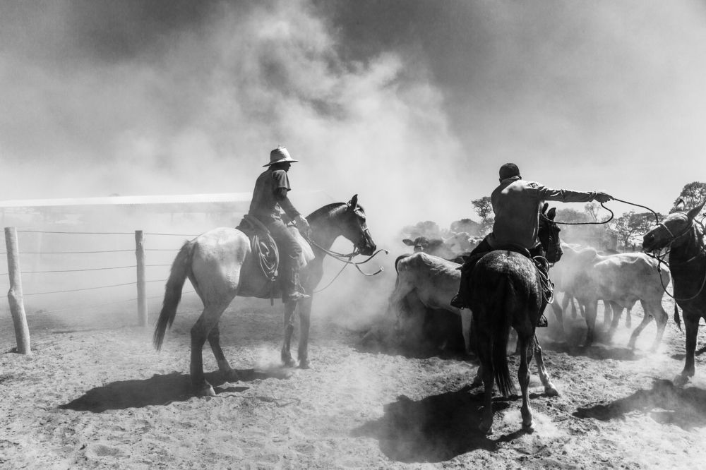 Photograph by FLAVIO SOUZA CRUZ