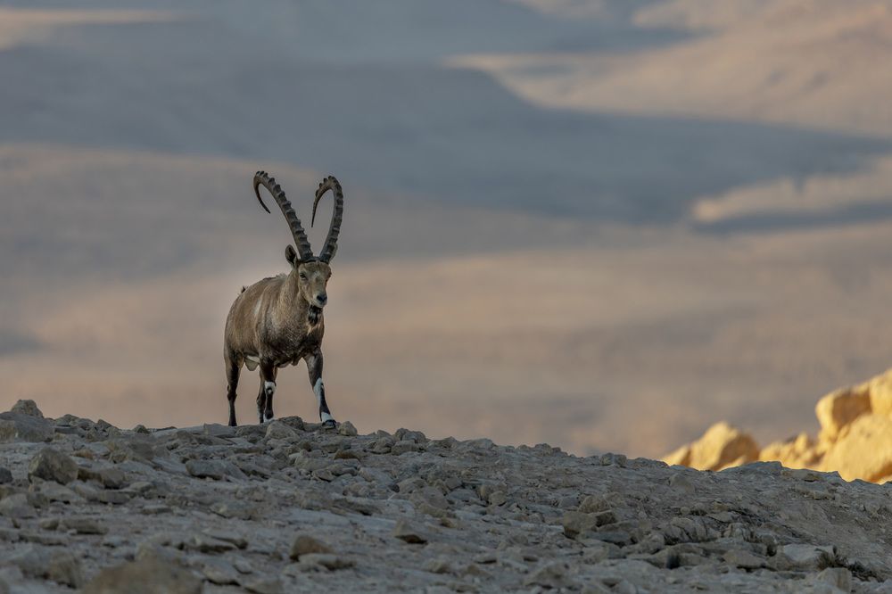 Фотография автора Nikolay Tatarchuk