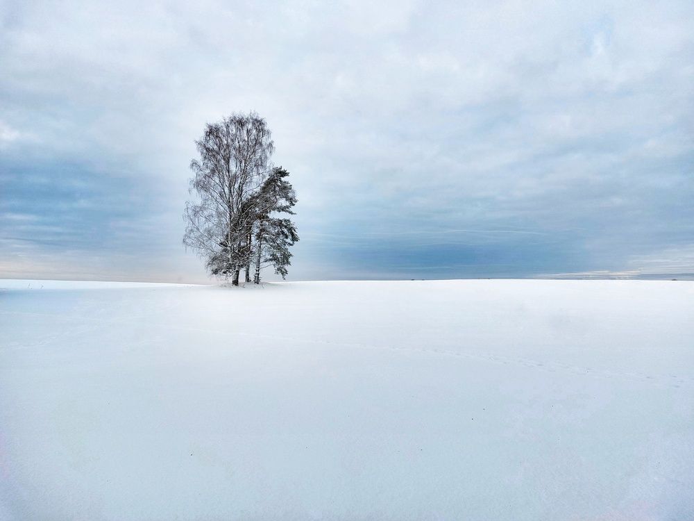 Photograph by Екатерина Казанцева