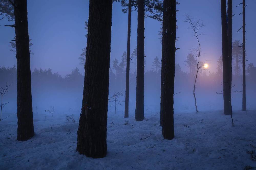 В лунном свете