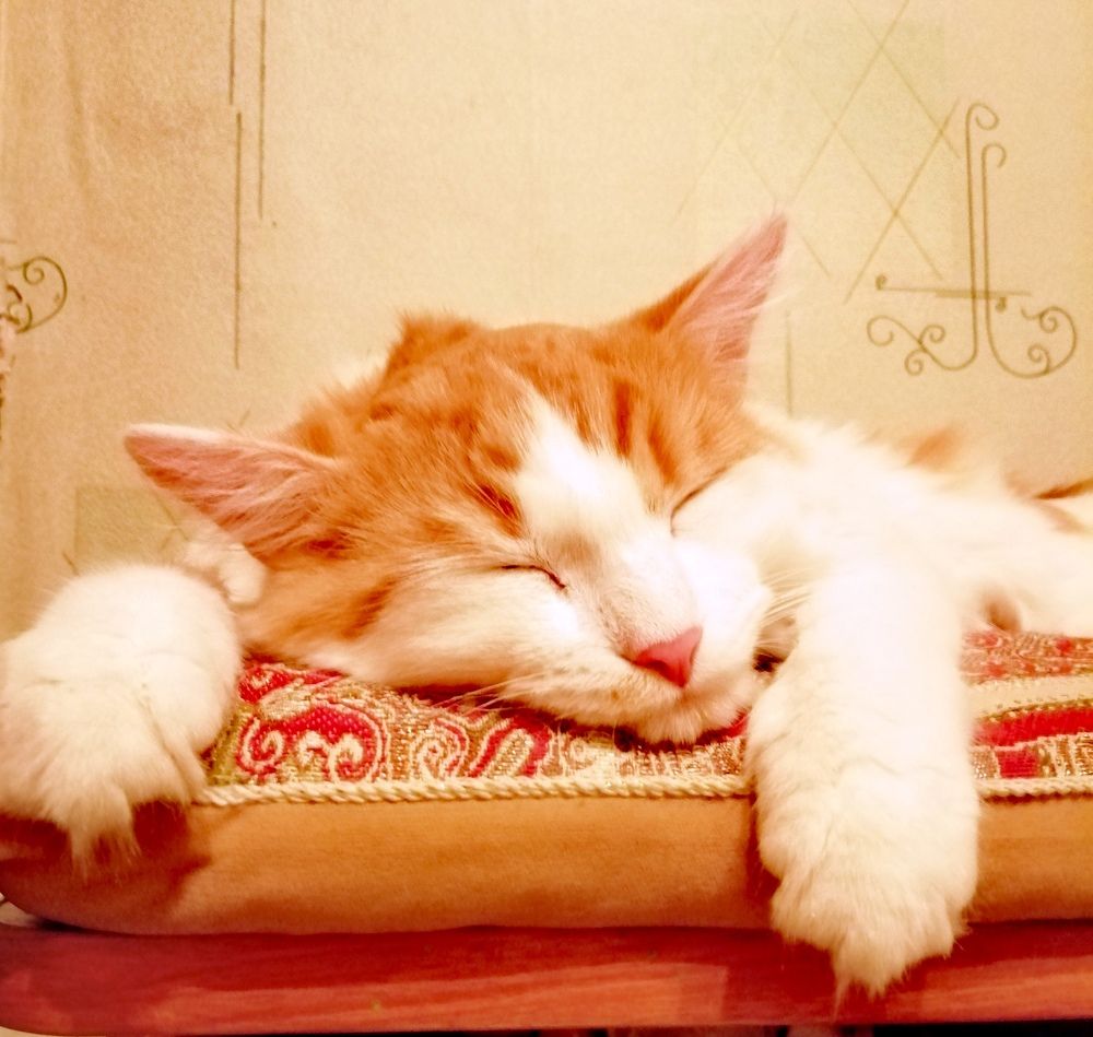 Photograph by Галина Смирнова