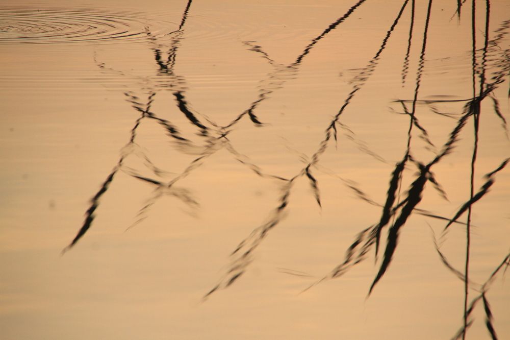 Фотография автора Анастасия Зверева