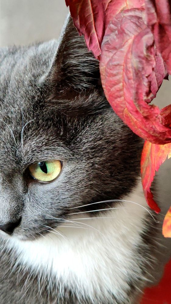 Photograph by Татьяна Гулакова