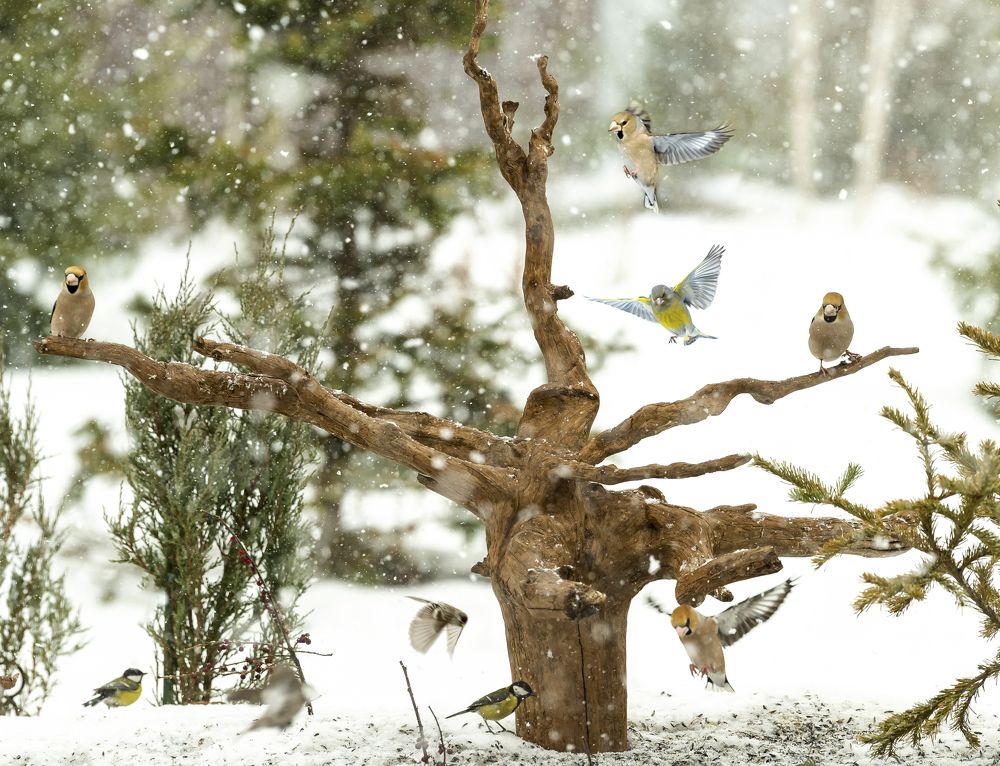 Photograph by Надежда