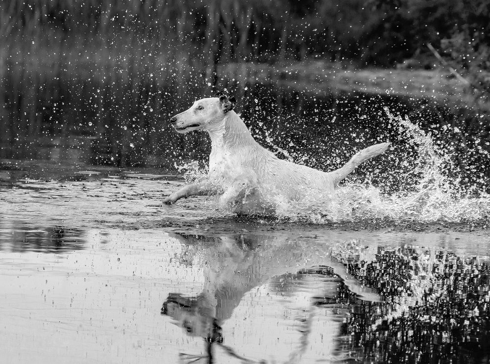 Photograph by Мария Новоселецкая