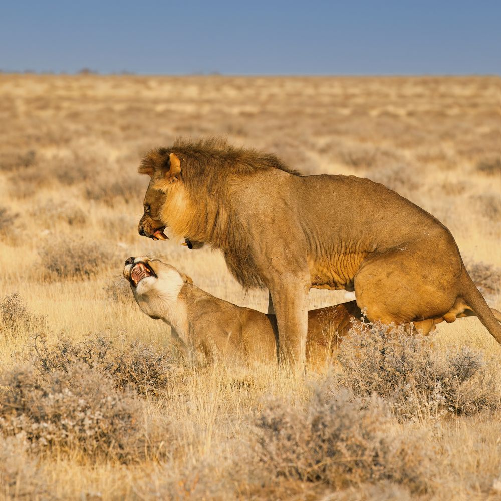 Photograph by Владимир Луценко
