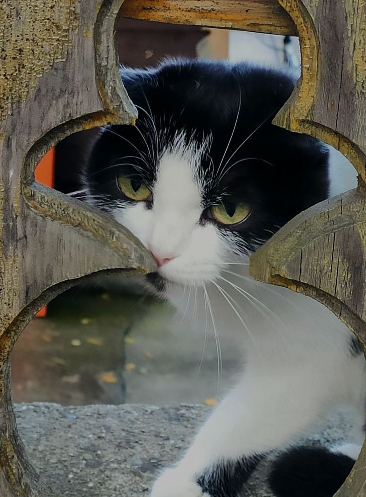 Photograph by Татьяна Гулакова