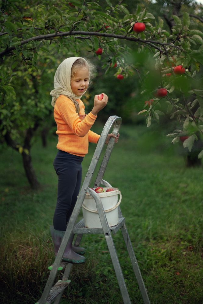 Photograph by Анна Еремчук