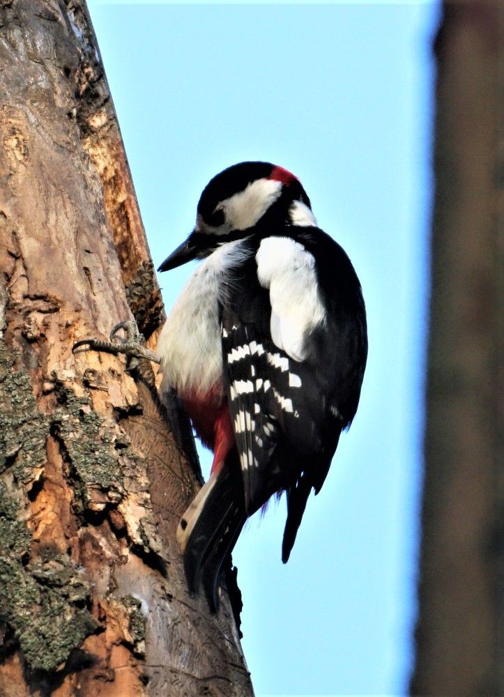 Photograph by Михаил Трусов