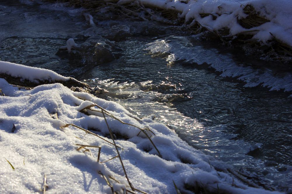 Photograph by Арсений Хотеев