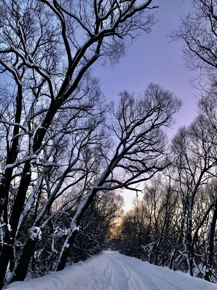 Photograph by Елена Шкред