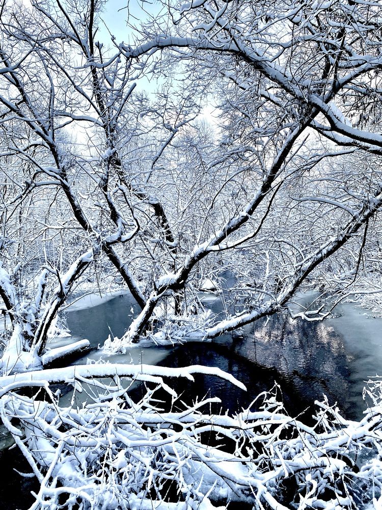 Зимняя речка