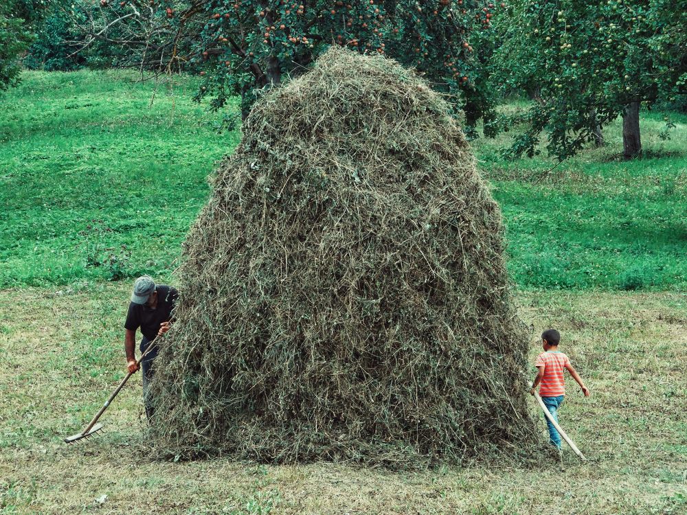 Photograph by Нигяр Бабаева