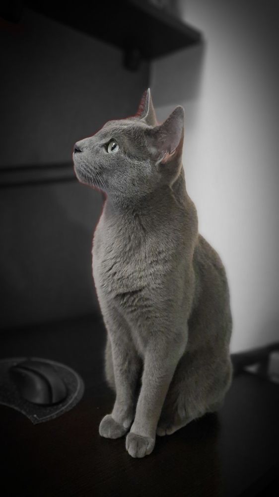 Photograph by Анна Калабина
