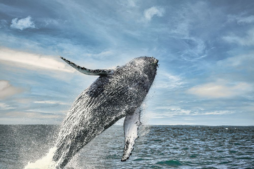 Photograph by Владимир Луценко