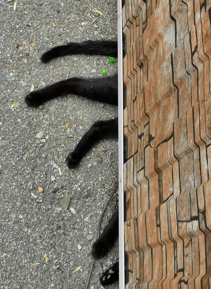 Photograph by Андрей Евтеев