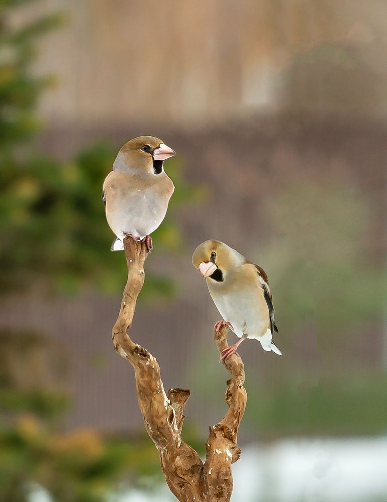Photograph by Надежда