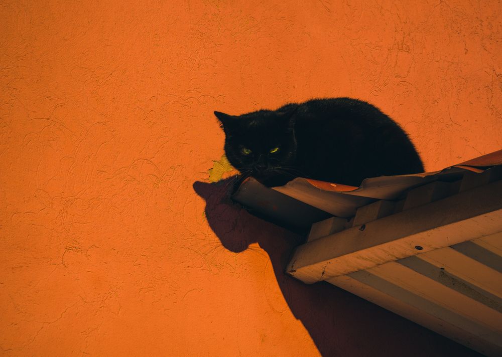 Photograph by Vitaliy