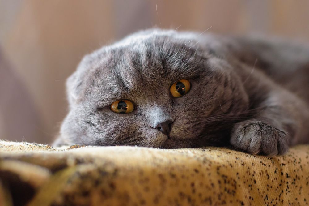 Photograph by Иван Курятников