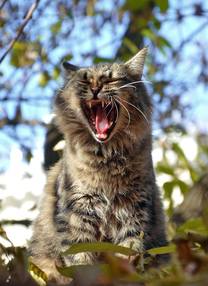 Photograph by Константин Мишнаевский