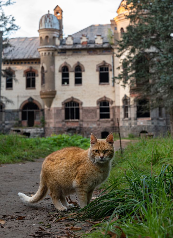 Фотография автора Рохмистрова Мария