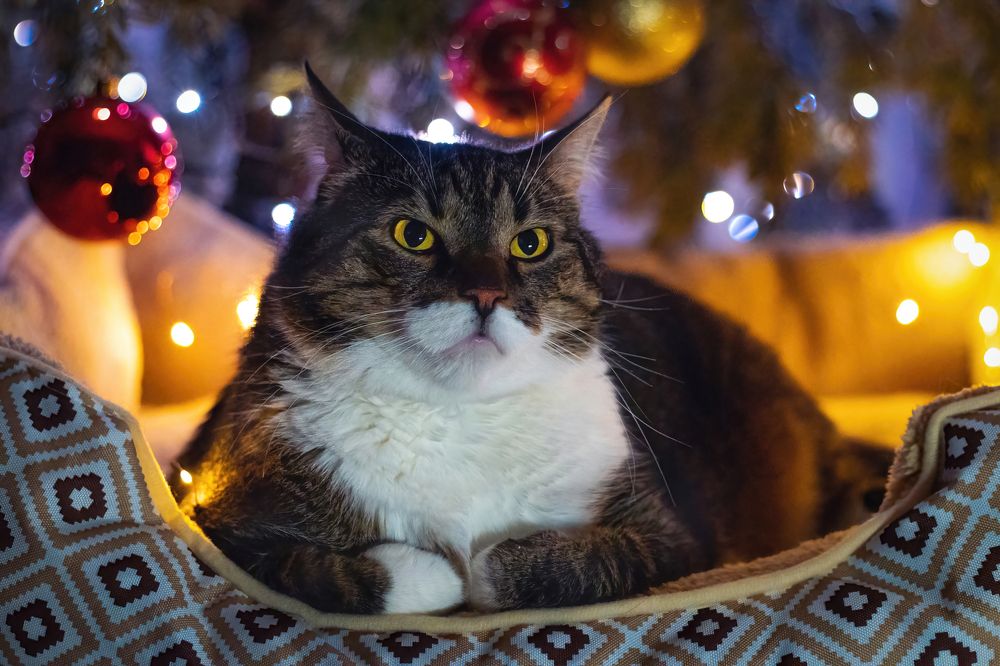 Photograph by Парфентьев Антон