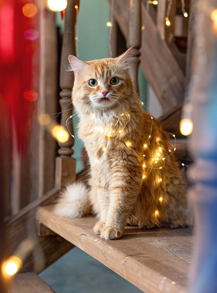 Photograph by Оксана Зверева