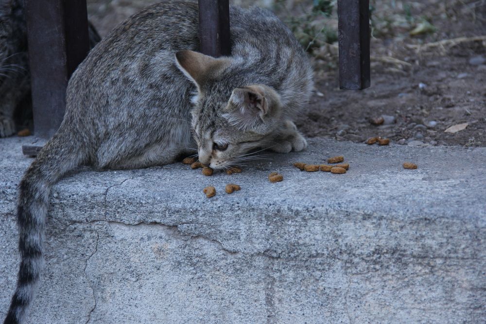 Photograph by Lianna