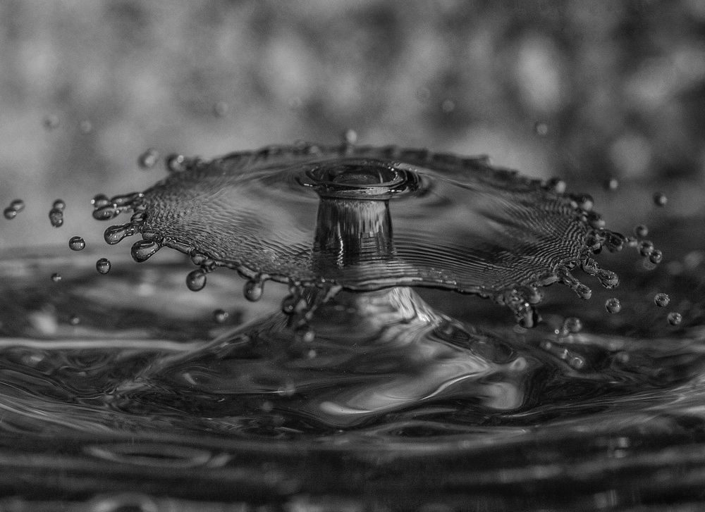 Photograph by Leanid Kulpo