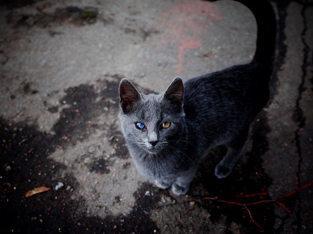 Photograph by Михаил Крайнев