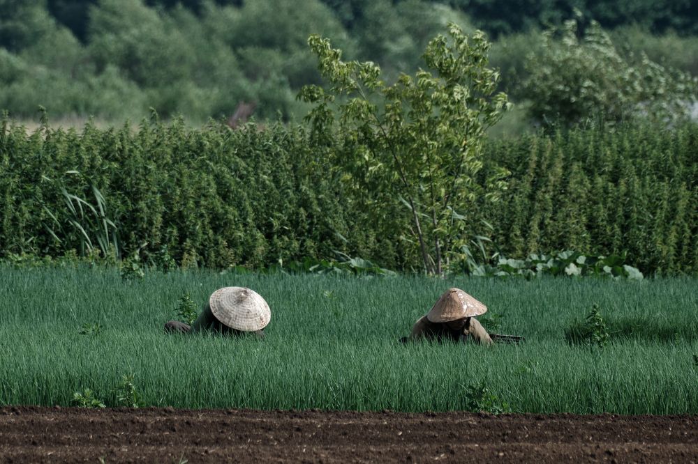 Photograph by Василий Арлашов