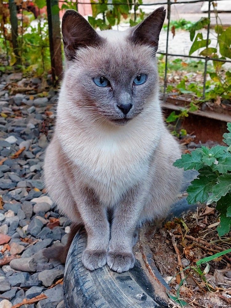 Photograph by Нина Паршина