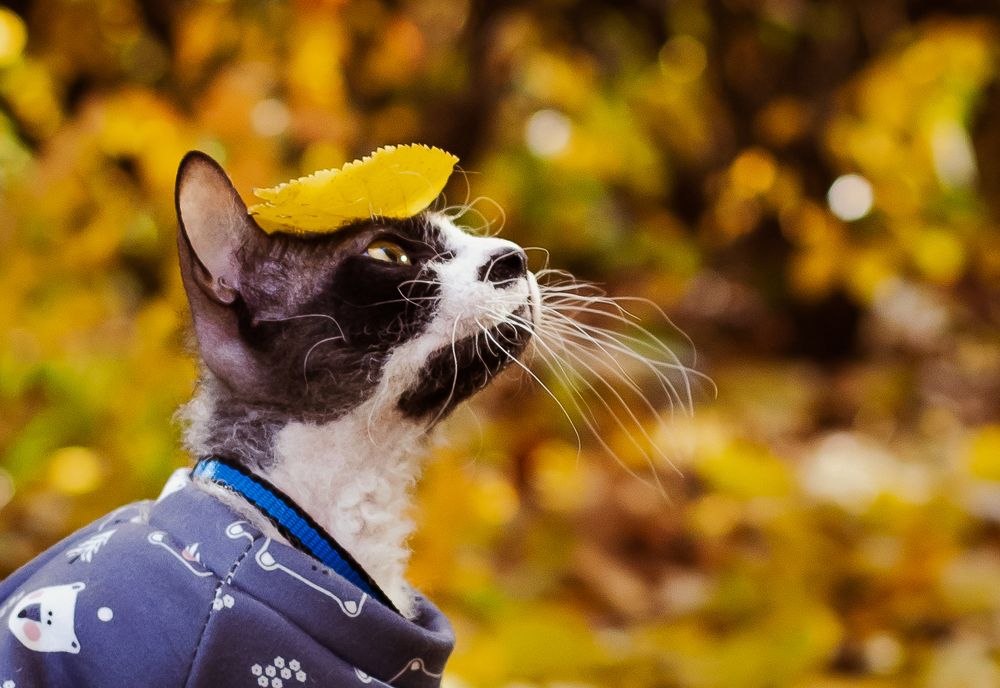 Photograph by Ирина Шевакова