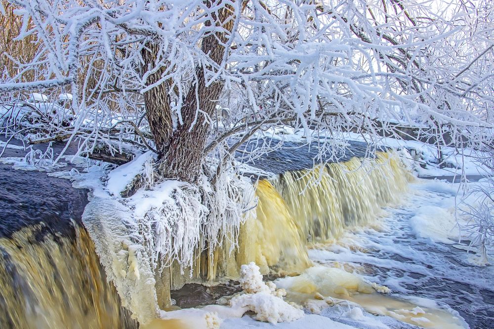 Photograph by Андрей