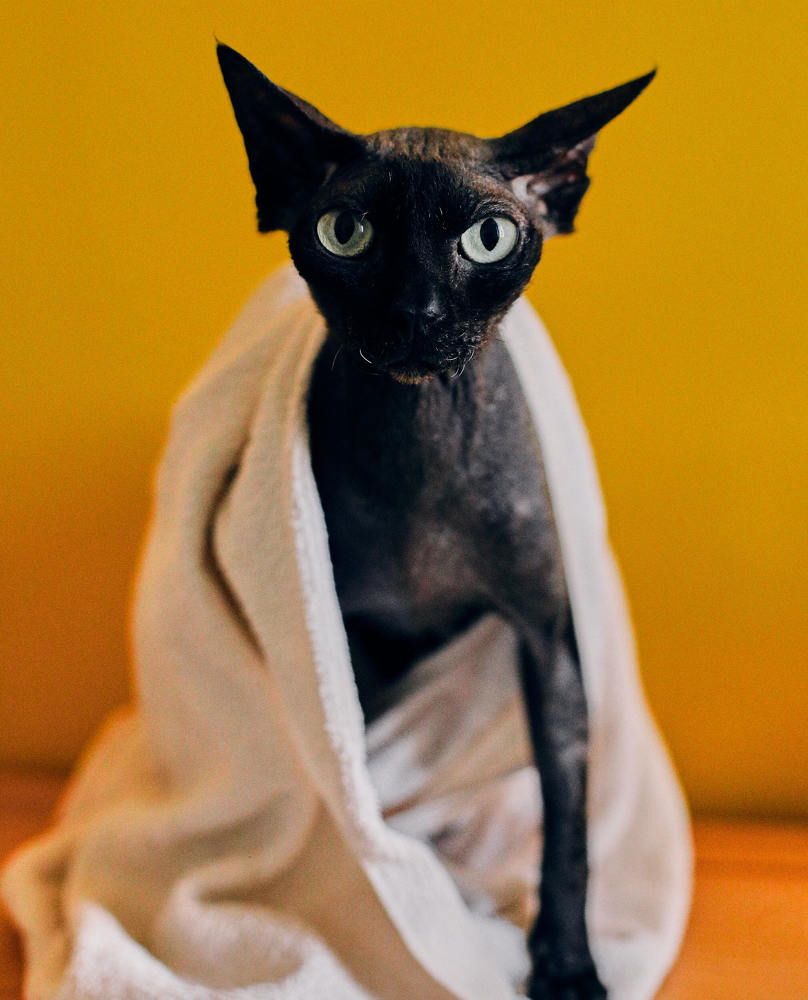 Photograph by Ирина Шевакова