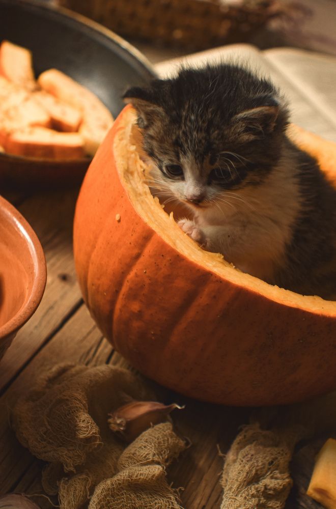 Photograph by Анна Федотова